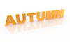 AUTUMN ｜ Autumn ｜ Character ｜ Illustration ｜ Free material