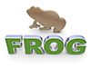 Frog ｜ Frog-Character ｜ Illustration ｜ Free material